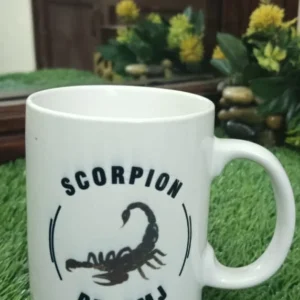 Scorpion Magical Mug – Reveal the Power Within